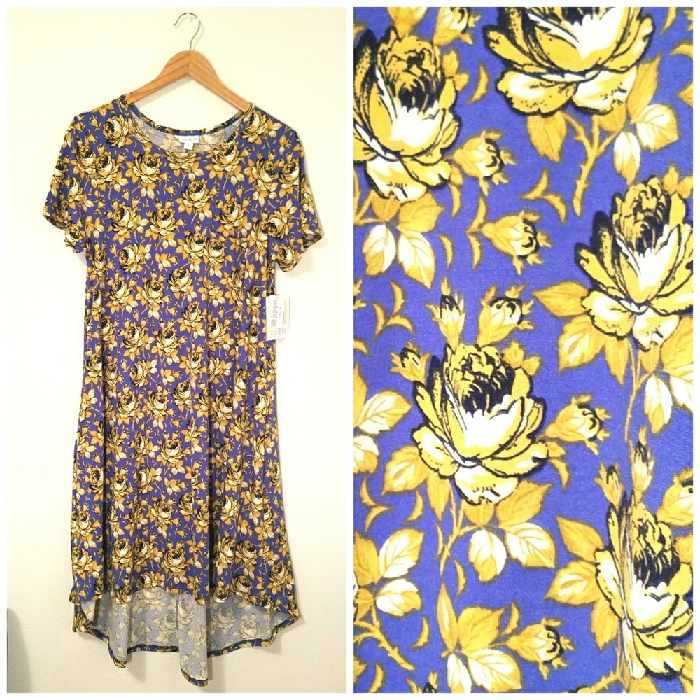 NWT LuLaRoe Carly medium